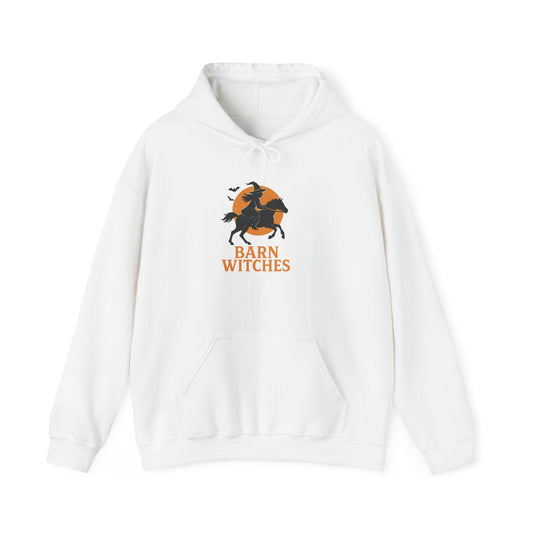 Barn Witches Unisex Heavy Blend Hoodie, Cozy Fall Sweatshirt for Halloween, Gift for Witch Lovers, Pumpkin Season Apparel, Barn Themes